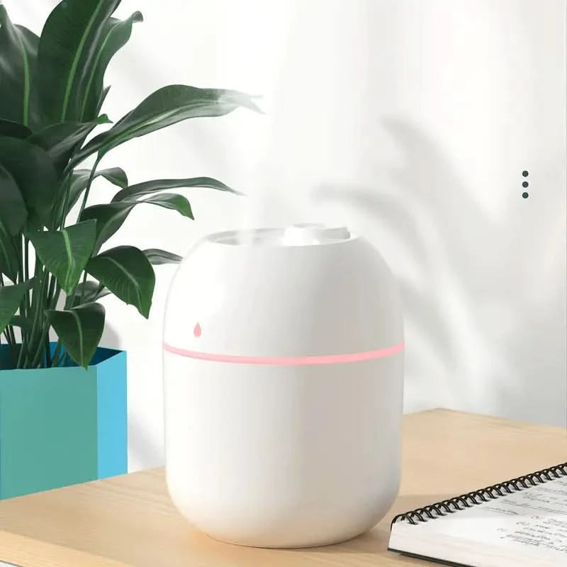 Regalo Mini Humidificador